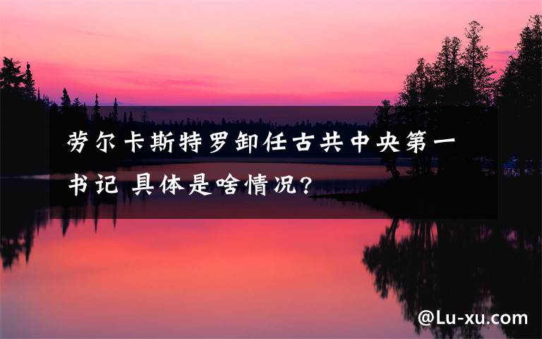 劳尔卡斯特罗卸任古共中央第一书记 具体是啥情况?