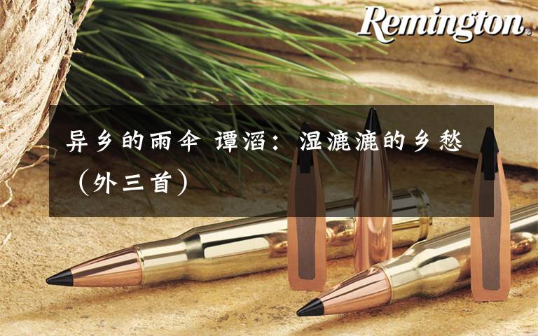 异乡的雨伞 谭滔:湿漉漉的乡愁(外三首)