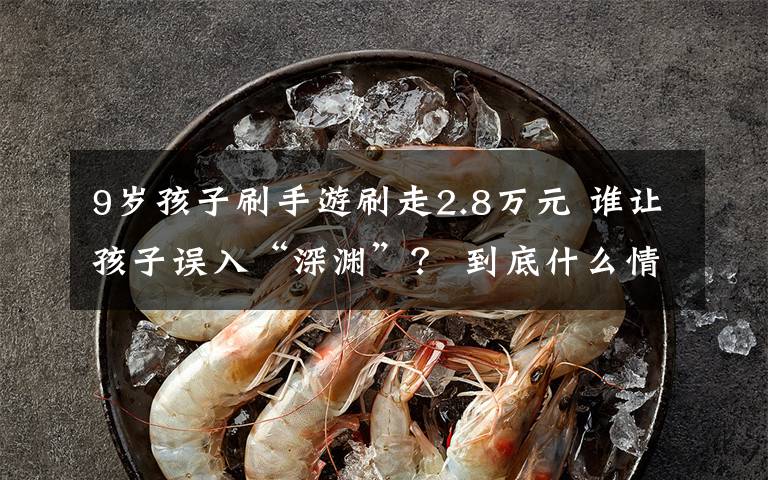 9岁孩子刷手游刷走2.8万元 谁让孩子误入“深渊”? 到底什么情况呢?