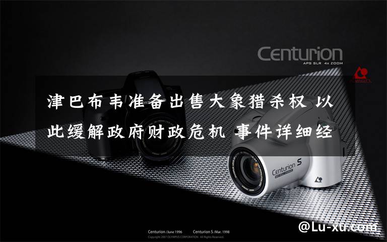 津巴布韦准备出售大象猎杀权 以此缓解政府财政危机 事件详细经过！