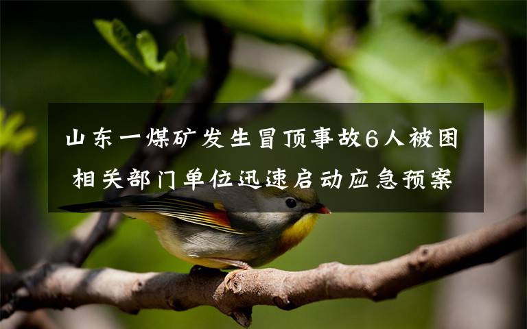 山东一煤矿发生冒顶事故6人被困 相关部门单位迅速启动应急预案 还原事发经过及背后原因!