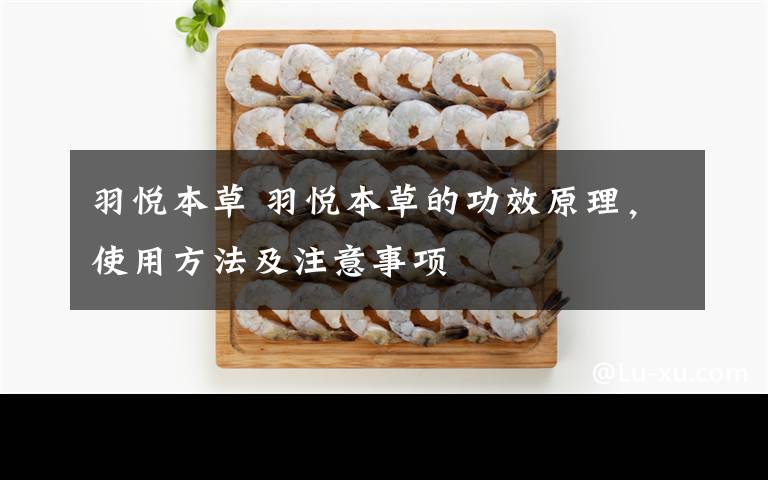 羽悦本草 羽悦本草的功效原理,使用方法及注意事项