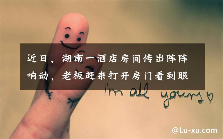 近日,湖南一酒店房间传出阵阵响动,老板赶来打开房门看到眼前景象惊呆了……