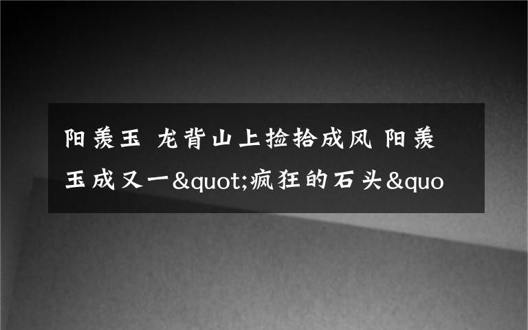 阳羡玉 龙背山上捡拾成风 阳羡玉成又一"疯狂的石头"?