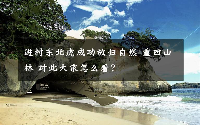 进村东北虎成功放归自然 重回山林 对此大家怎么看?