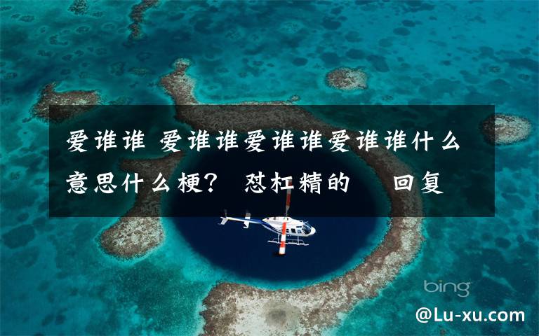 爱谁谁 爱谁谁爱谁谁爱谁谁什么意思什么梗？ 怼杠精的 回复语了解一下