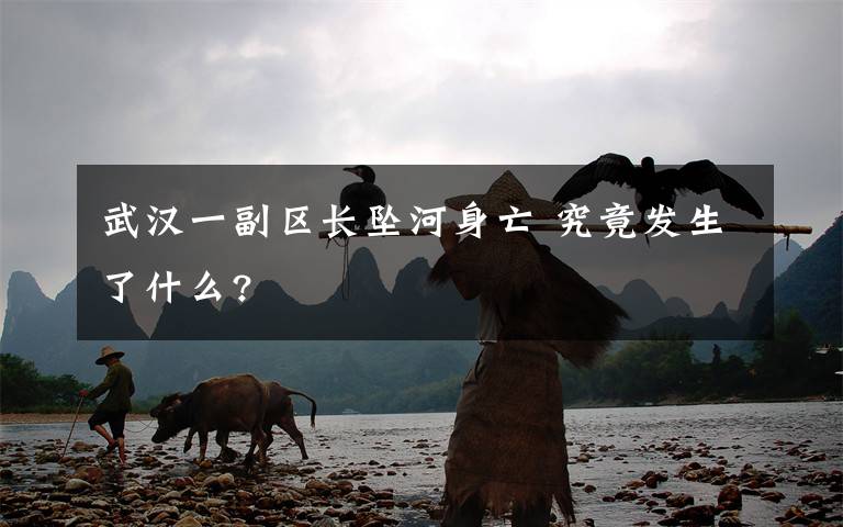 武汉一副区长坠河身亡 究竟发生了什么?