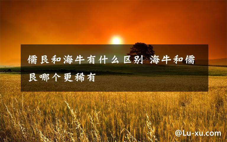 儒艮和海牛有什么区别 海牛和儒艮哪个更稀有