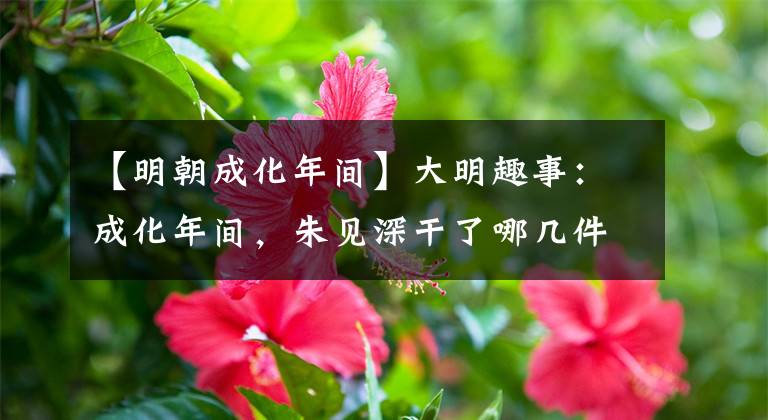 【明朝成化年间】大明趣事：成化年间，朱见深干了哪几件露脸的事？