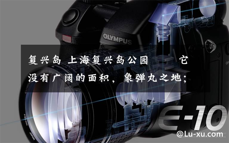 复兴岛 上海复兴岛公园 ――它没有广阔的面积,象弹丸之地;只有若干参天的梧桐树;只有那孤单的白庐别墅…