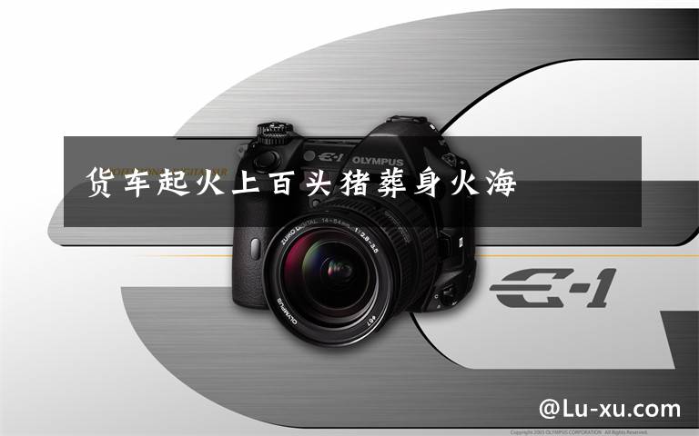 货车起火上百头猪葬身火海