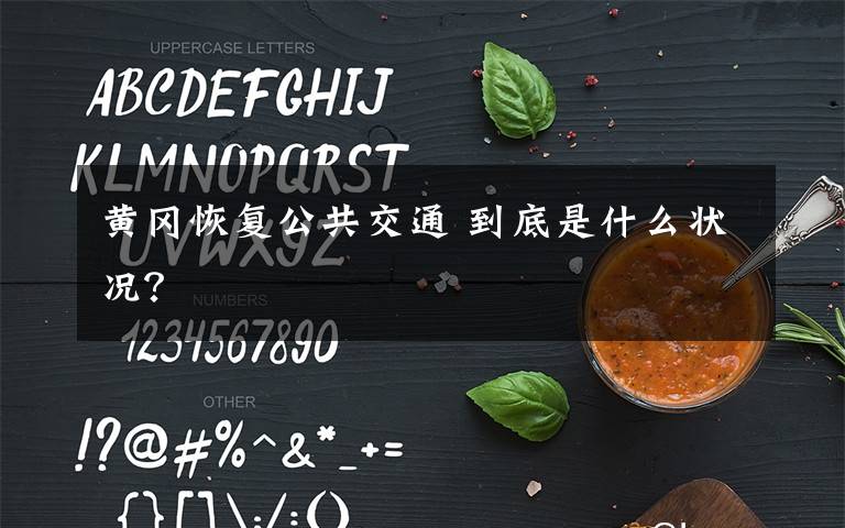 黄冈恢复公共交通 到底是什么状况?