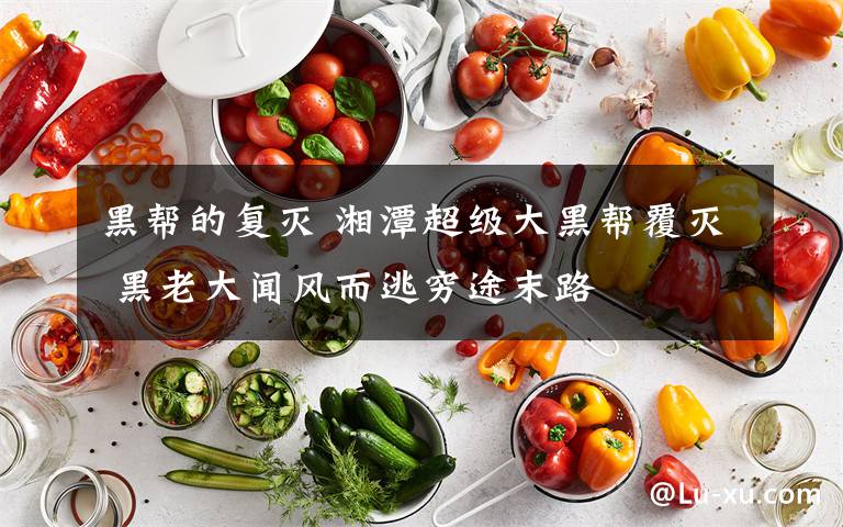 黑帮的复灭 湘潭超级大黑帮覆灭 黑老大闻风而逃穷途末路