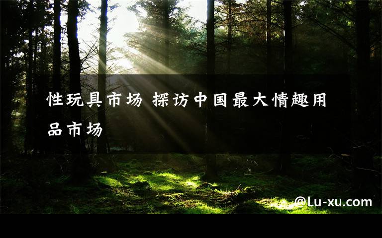 性玩具市场 探访中国最大情趣用品市场