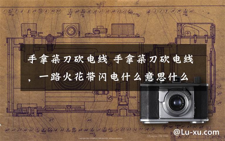 手拿菜刀砍电线 手拿菜刀砍电线，一路火花带闪电什么意思什么梗？ 社会人的顺口溜了解一下