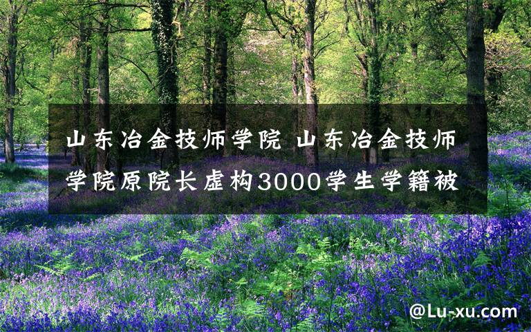 山东冶金技师学院 山东冶金技师学院原院长虚构3000学生学籍被判刑