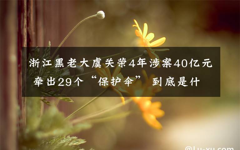 浙江黑老大虞关荣4年涉案40亿元 牵出29个“保护伞” 到底是什么状况?