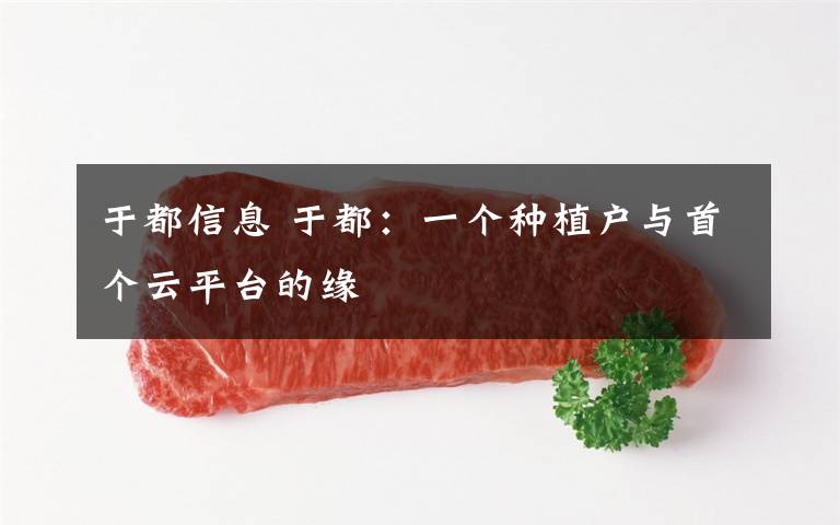 于都信息 于都:一个种植户与首个云平台的缘