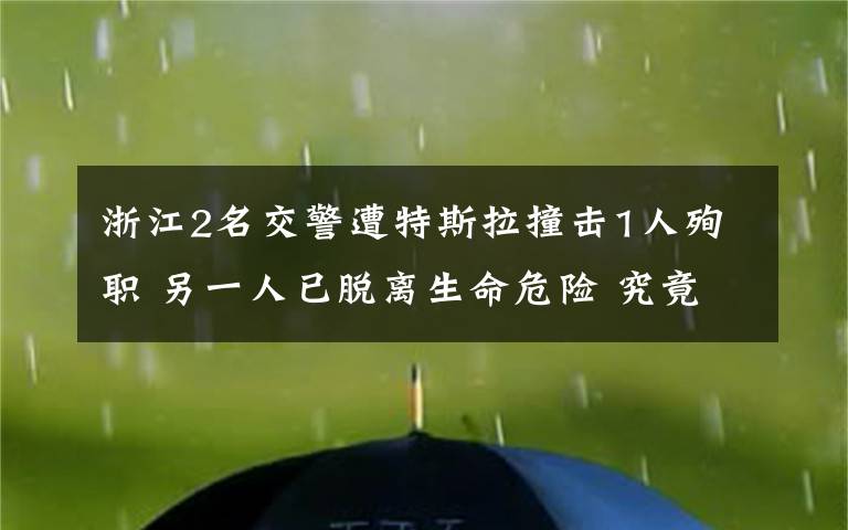 浙江2名交警遭特斯拉撞击1人殉职 另一人已脱离生命危险 究竟发生了什么?