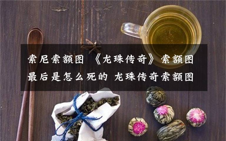 索尼索额图 《龙珠传奇》索额图最后是怎么死的 龙珠传奇索额图结局及分集剧情