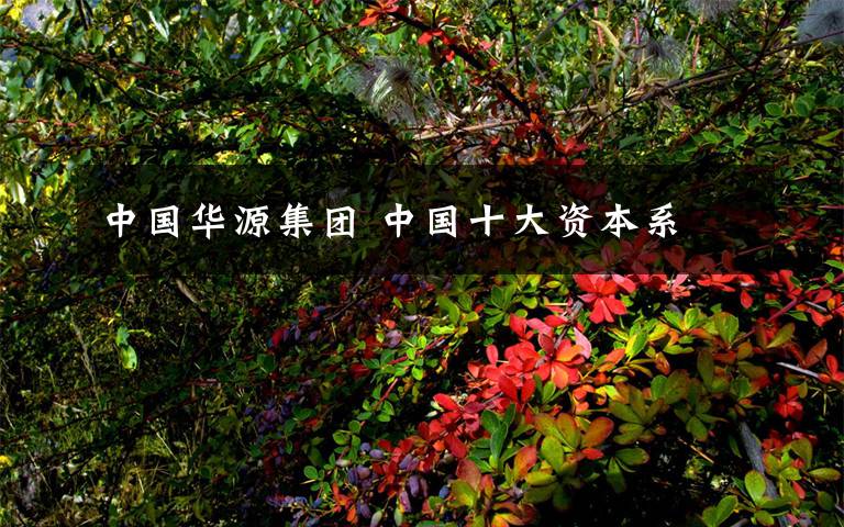 中国华源集团 中国十大资本系