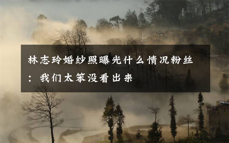 林志玲婚纱照曝光什么情况粉丝：我们太笨没看出来