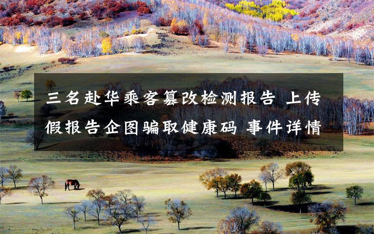 三名赴华乘客篡改检测报告 上传假报告企图骗取健康码 事件详情始末介绍!