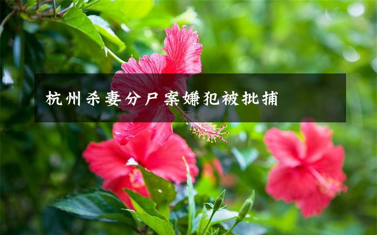 杭州杀妻分尸案嫌犯被批捕