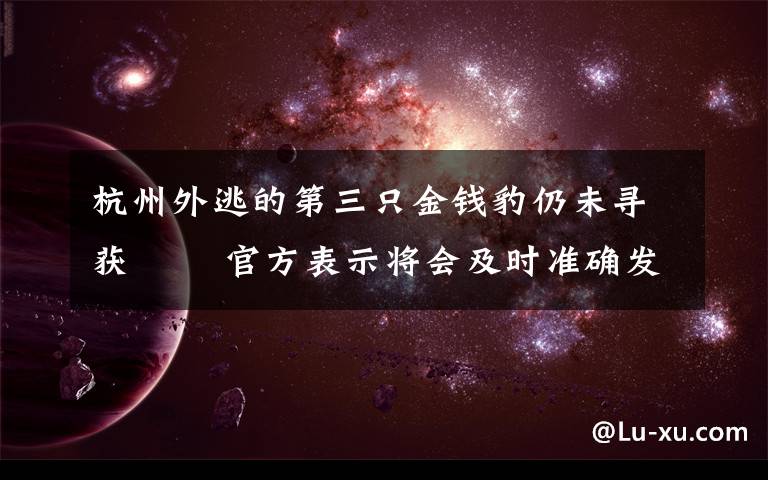 杭州外逃的第三只金钱豹仍未寻获   官方表示将会及时准确发布工作进展情况 具体是啥情况?