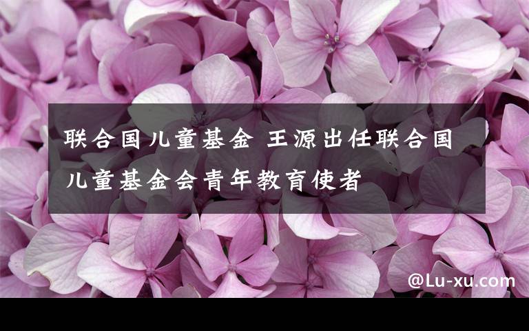 联合国儿童基金 王源出任联合国儿童基金会青年教育使者