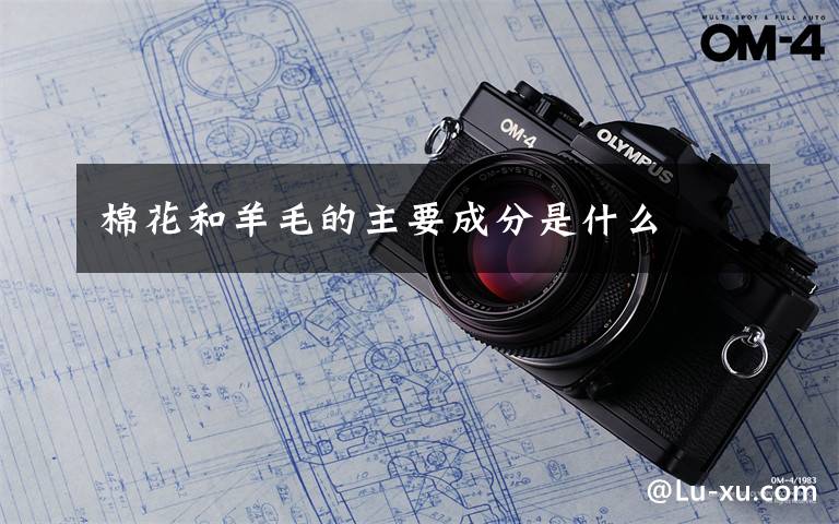 棉花和羊毛的主要成分是什么