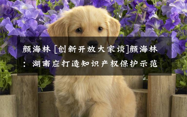 颜海林 [创新开放大家谈]颜海林：湖南应打造知识产权保护示范省