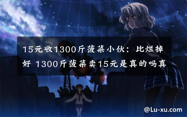 15元收1300斤菠菜小伙：比烂掉好 1300斤菠菜卖15元是真的吗真相是什么