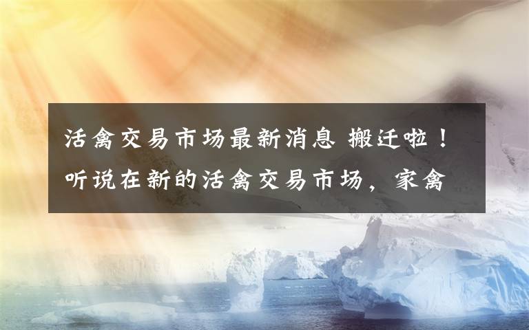活禽交易市场最新消息 搬迁啦!听说在新的活禽交易市场,家禽的价格有点优惠~