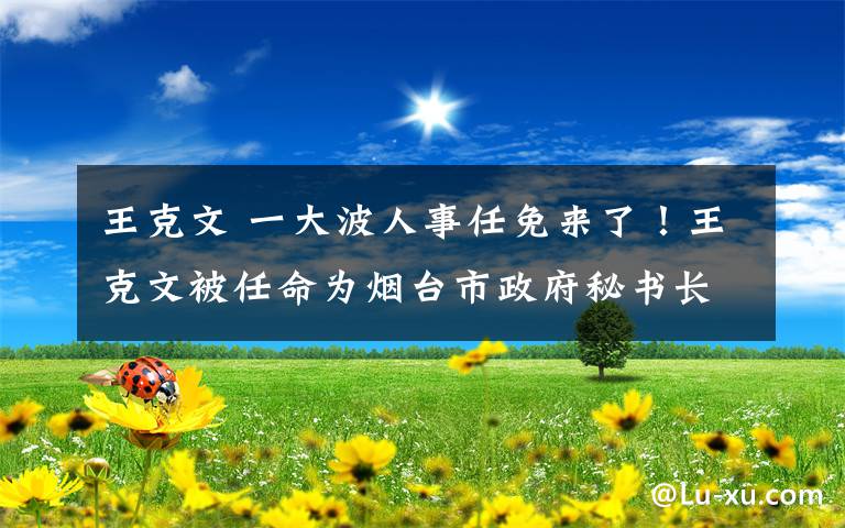 王克文 一大波人事任免来了!王克文被任命为烟台市政府秘书长