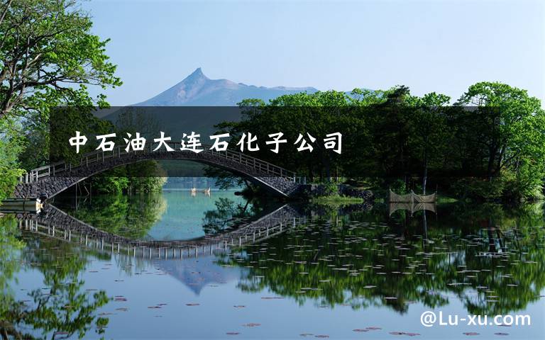 中石油大连石化子公司