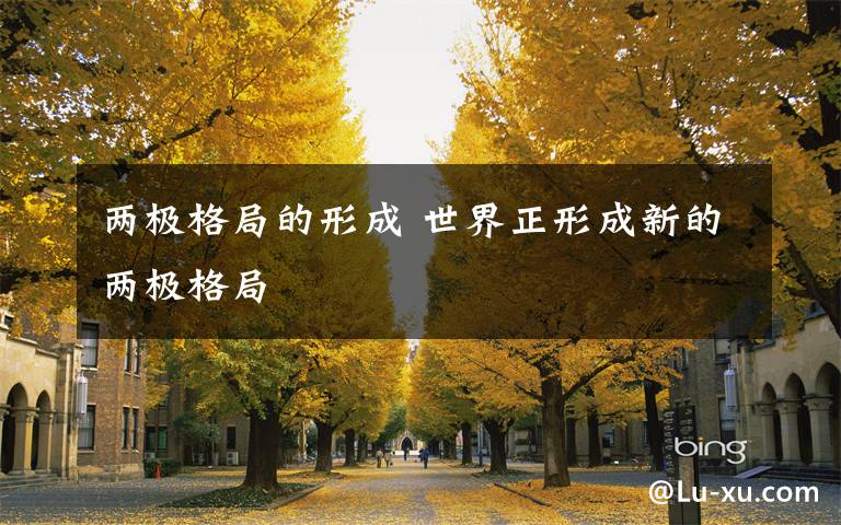 两极格局的形成 世界正形成新的两极格局