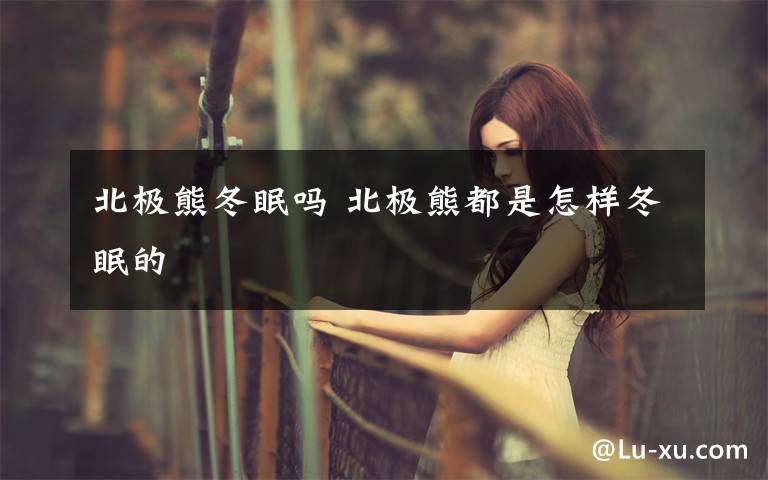 北极熊冬眠吗 北极熊都是怎样冬眠的