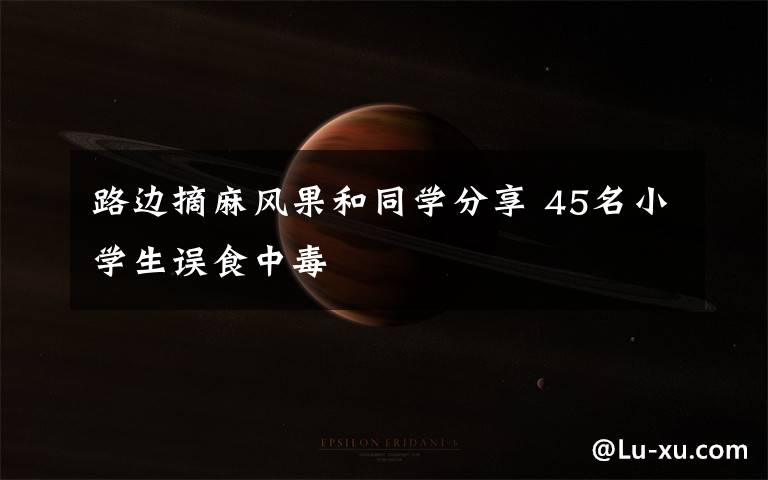 路边摘麻风果和同学分享 45名小学生误食中毒