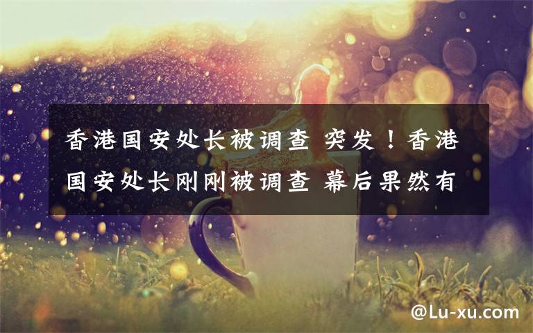 香港国安处长被调查 突发！香港国安处长刚刚被调查 幕后果然有鬼