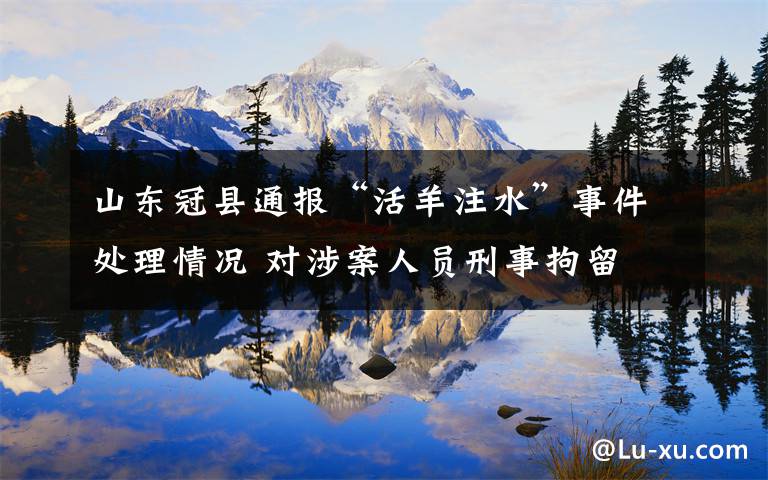 山东冠县通报“活羊注水”事件处理情况 对涉案人员刑事拘留 事件详细经过!