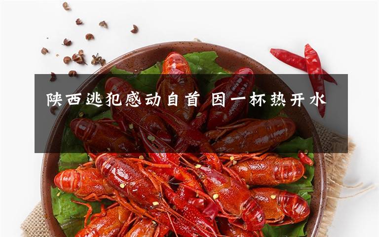 陕西逃犯感动自首 因一杯热开水