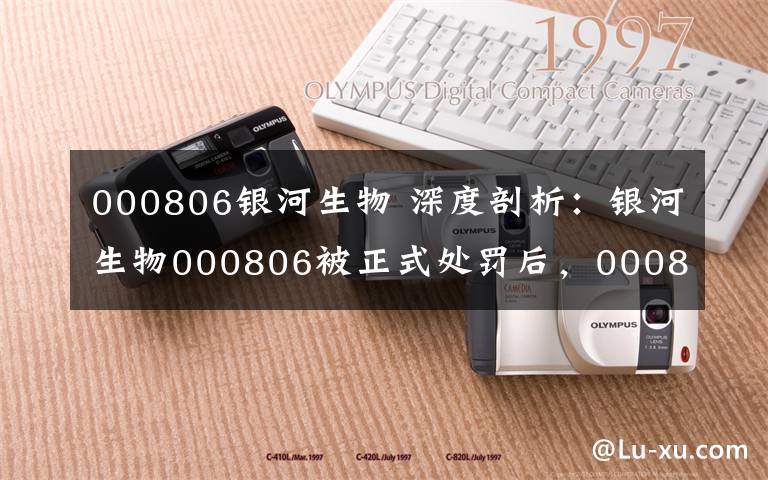 000806银河生物 深度剖析:银河生物000806被正式处罚后,000806投资人如何维权