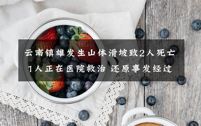 云南镇雄发生山体滑坡致2人死亡 1人正在医院救治 还原事发经过及背后真相！