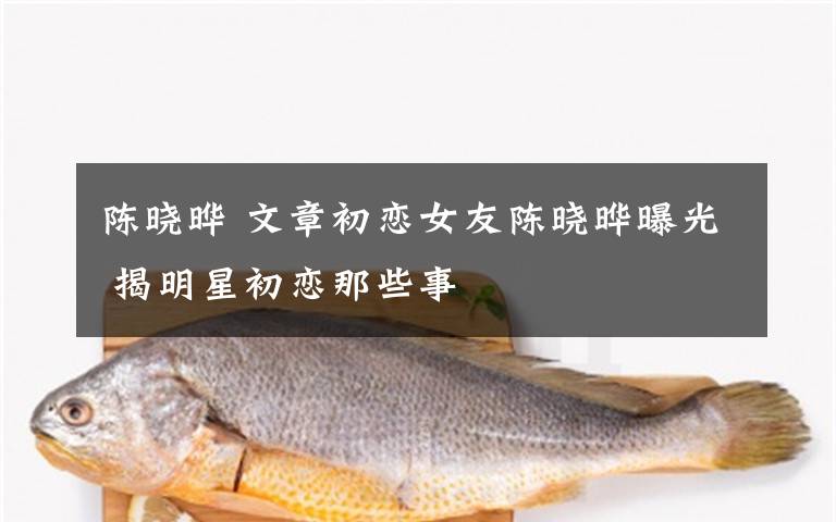 陈晓晔 文章初恋女友陈晓晔曝光 揭明星初恋那些事
