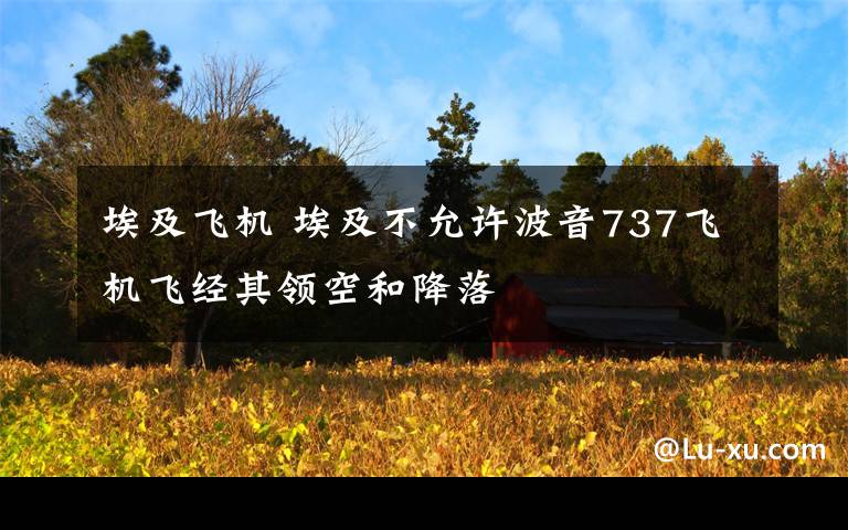 埃及飞机 埃及不允许波音737飞机飞经其领空和降落