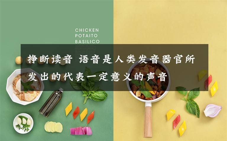 挣断读音 语音是人类发音器官所发出的代表一定意义的声音