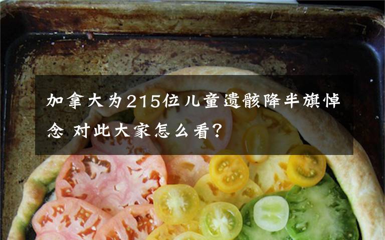 加拿大为215位儿童遗骸降半旗悼念 对此大家怎么看？