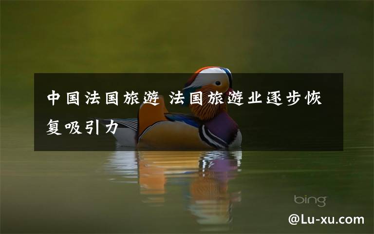中国法国旅游 法国旅游业逐步恢复吸引力