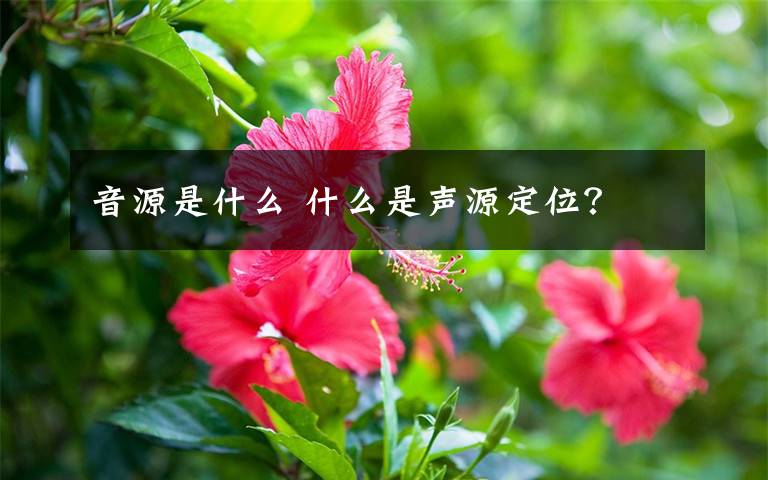 音源是什么 什么是声源定位?